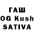 Галлюциногенные грибы GOLDEN TEACHER Barbos Barbosovich