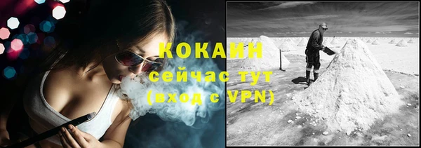 ГАЛЛЮЦИНОГЕННЫЕ ГРИБЫ Гусиноозёрск
