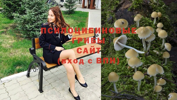 ГАЛЛЮЦИНОГЕННЫЕ ГРИБЫ Гусиноозёрск