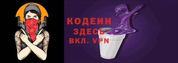 хмурый Нея