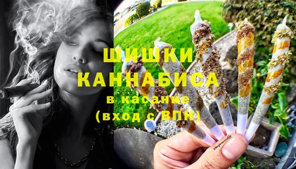 ГАЛЛЮЦИНОГЕННЫЕ ГРИБЫ Гусиноозёрск