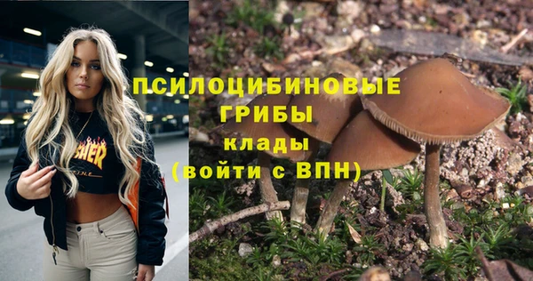 таблы Горно-Алтайск