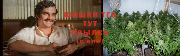 ГАЛЛЮЦИНОГЕННЫЕ ГРИБЫ Гусиноозёрск